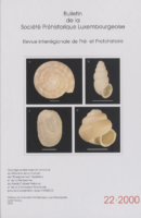 BSPL 22_2000