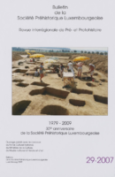 BSPL 29_2007