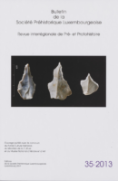 BSPL 35_2013